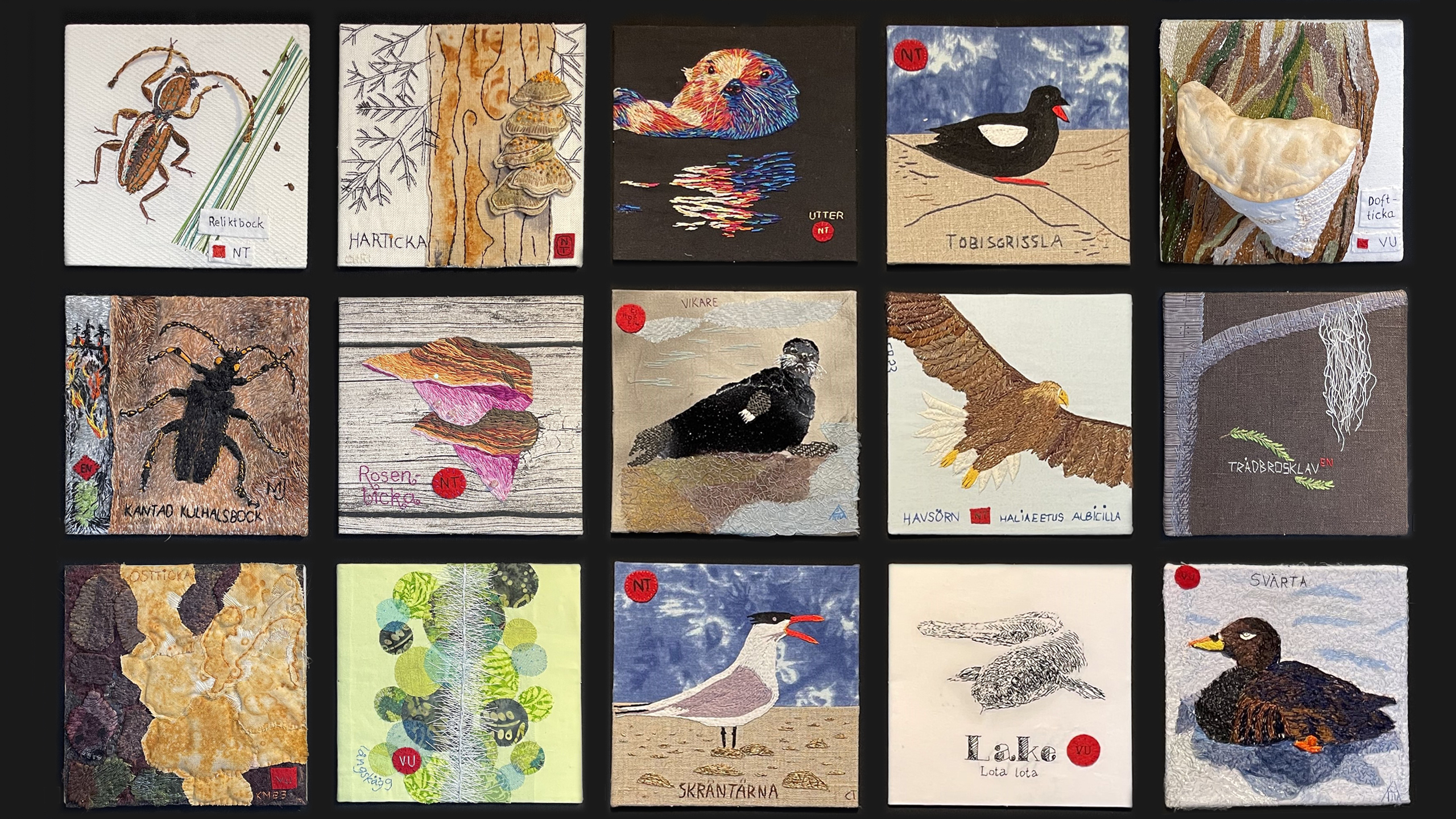 Collage av små broderade tavlor av några utrotningshotade djur och växtarter.